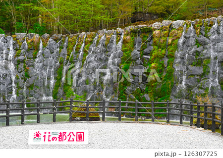 山中湖　花の都公園の景色 126307725