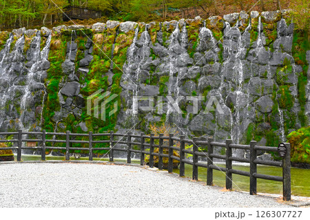 山中湖　花の都公園の景色 126307727