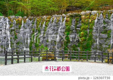 山中湖 花の都公園の景色 山中湖 花の都公園の景色 126307730