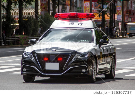 警視庁パトカー　クラウン 126307737
