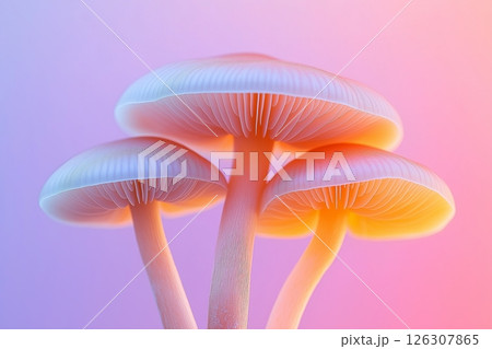 Close-up of three softly glowing mushrooms with wide gills lit from below by a warm orange glow 126307865