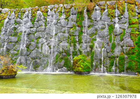 山中湖　花の都公園の景色 126307978