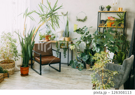 A fragment of the interior with a variety of indoor plants and plaster sculptures. Urban jungle concept. Biophilia design. 126308113