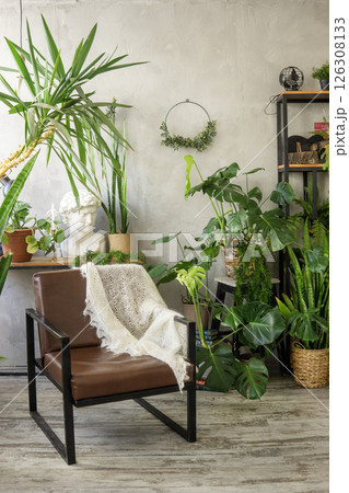 A fragment of the interior with a variety of indoor plants and plaster sculptures. Urban jungle concept. Biophilia design. 126308133