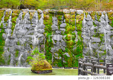 山中湖 花の都公園の景色 山中湖 花の都公園の景色 126308180