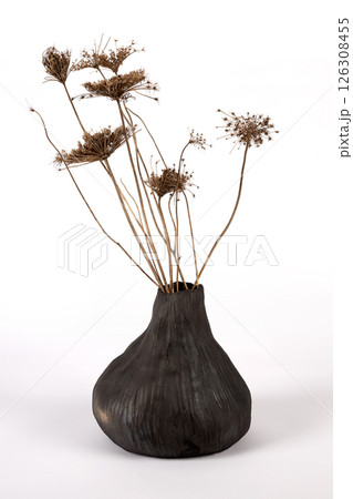 Ceramic vase on white background 126308455