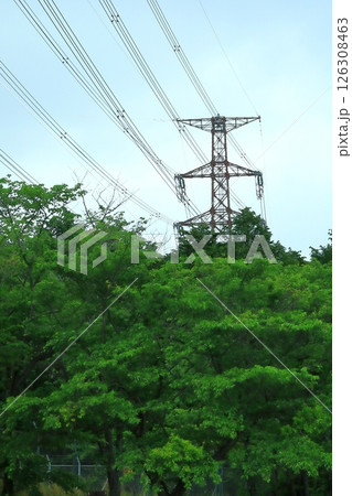 送電鉄塔を見上げる 送電鉄塔を見上げる 126308463