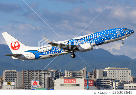 TAA B737青サメ福岡空港離陸上昇 126308649