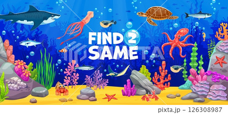 Kids game worksheet, find two same sea animals. Cartoon vector educational riddle for children activity with underwater corals, seaweeds, octopus, shark, turtle and stingray, squid, tuna, puffer fish 126308987