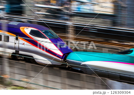 JR東日本 E5系とE3系併結部 JR東日本 E5系とE3系併結部 126309304