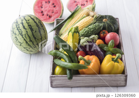 夏野菜 夏野菜 126309360