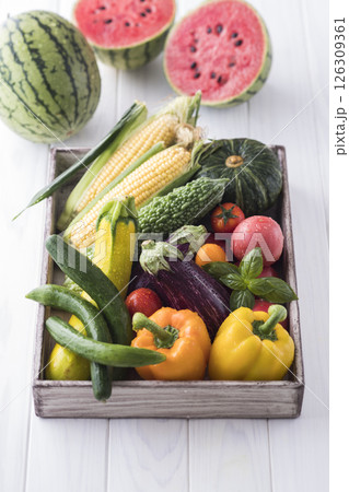 夏野菜 夏野菜 126309361