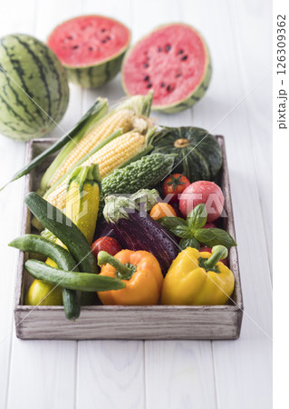 夏野菜 夏野菜 126309362