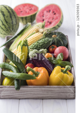 夏野菜 夏野菜 126309363