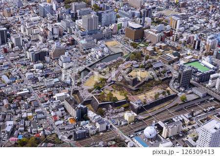 舞鶴城公園と甲府市街並み・Aerial view 126309413