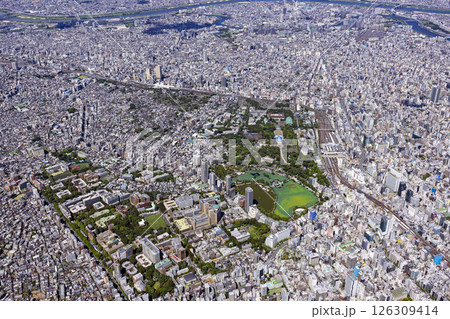 池之端文教地区上空・上野・Aerial view 126309414