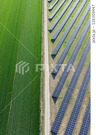 Aerial view of solar power station and green agricultural field. Sustainable development. 126309447