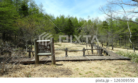 美し森 羽衣の池 美し森 羽衣の池 126309550