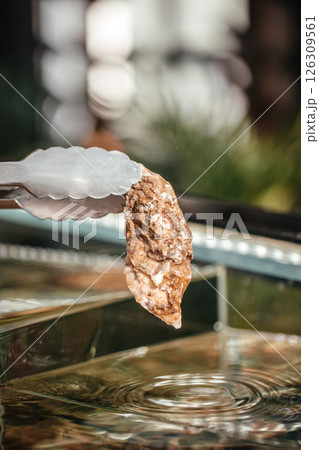 Fresh oyster held by tongs above water with ripples in a seafood restaurant setting 126309561