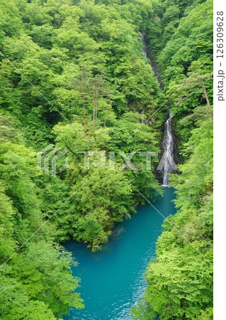 不動の滝　（群馬県吾妻郡長野原町川原湯） 126309628