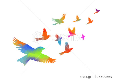 Flying colored birds silhouettes on white background. Vector illustration. isolated bird flying. tattoo design. 126309665