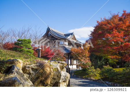 京都　将軍塚青龍殿の紅葉 126309921