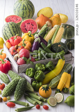 夏野菜 126310146
