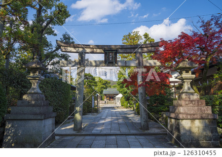 京都　わら天神宮の紅葉　　　　 126310455