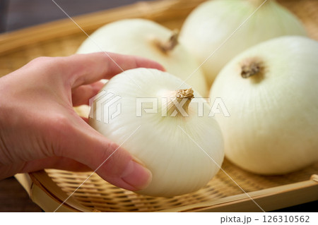 新玉ねぎ(新鮮な春野菜) 新玉ねぎ(新鮮な春野菜) 126310562