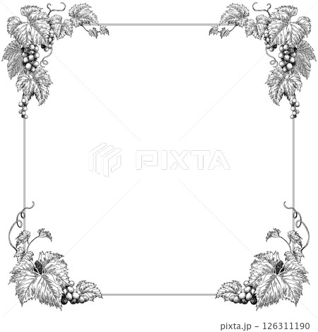 ペン画ぶどうフレーム素材正方形 126311190