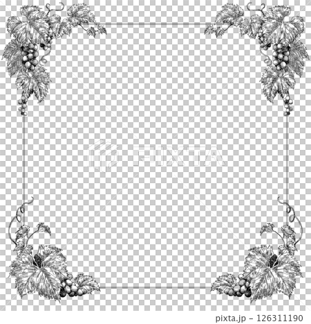 ペン画ぶどうフレーム素材正方形 126311190