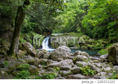 新緑の頃菊池渓谷の美しい風景 126311222