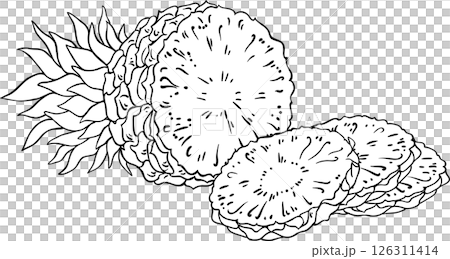 Pineapple Fruit Outline Illustration Pineapple Fruit Outline Illustration 126311414