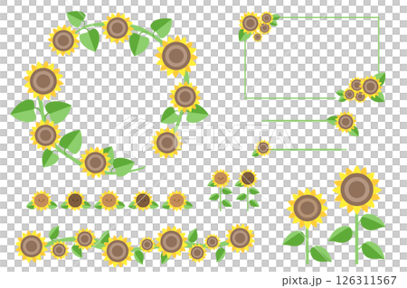 ひまわりの花  イラストとフレームセット (文字なし) ベクター素材イラスト 126311567