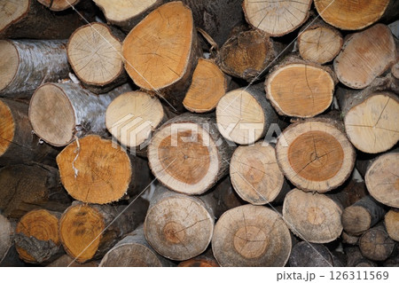 薪いっぱいの棚 126311569