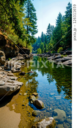 A river with rocks and trees in the background 126311659