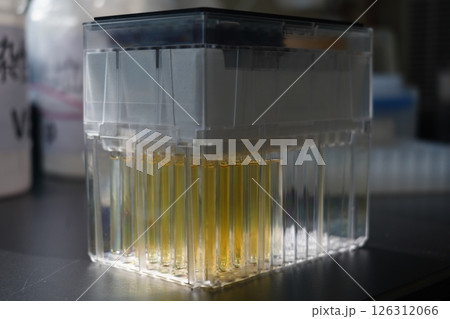 磁気共鳴イメージング 生体臨床医学 研究室 126312066