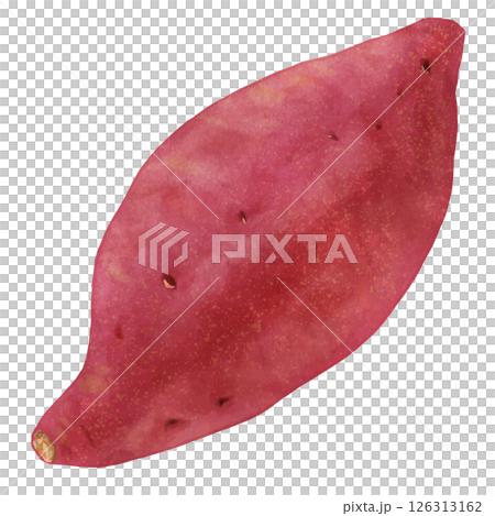 逼真的紅薯/烤地瓜，水彩風格 126313162