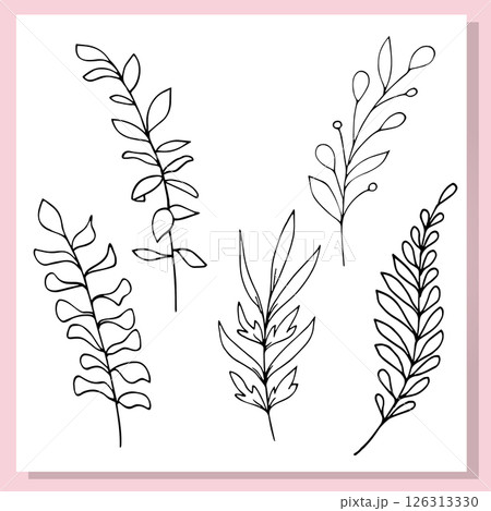 Hand Drawn Botanical Leaves Set  Doodle Line Art 126313330
