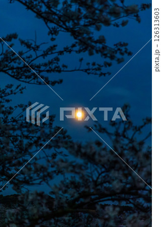 静岡県掛川市幡鎌　天竜浜名湖鉄道と沿線の風景 126313603