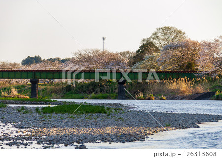 静岡県掛川市幡鎌　天竜浜名湖鉄道と沿線の風景 126313608