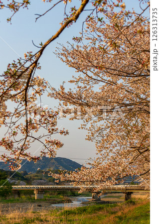 静岡県掛川市幡鎌 天竜浜名湖鉄道と沿線の風景 静岡県掛川市幡鎌 天竜浜名湖鉄道と沿線の風景 126313735