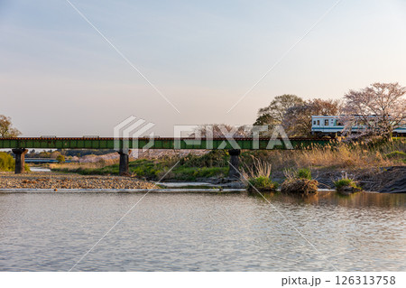静岡県掛川市幡鎌　天竜浜名湖鉄道と沿線の風景 126313758