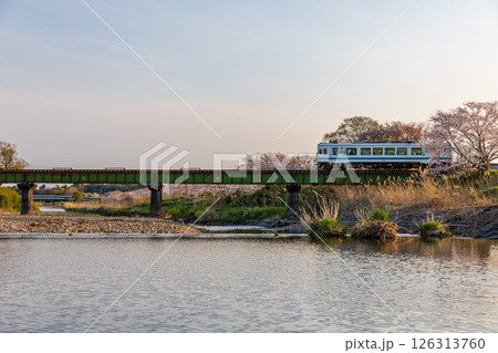 静岡県掛川市幡鎌　天竜浜名湖鉄道と沿線の風景 126313760