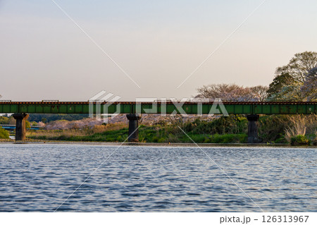 静岡県掛川市幡鎌　天竜浜名湖鉄道と沿線の風景 126313967