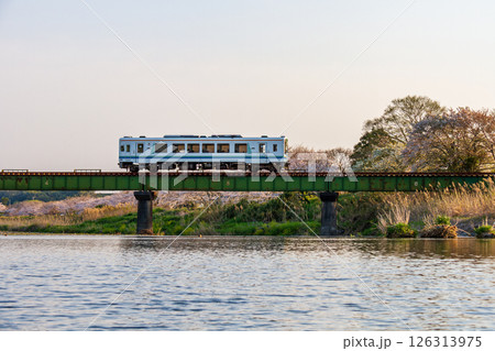 静岡県掛川市幡鎌 天竜浜名湖鉄道と沿線の風景 静岡県掛川市幡鎌 天竜浜名湖鉄道と沿線の風景 126313975
