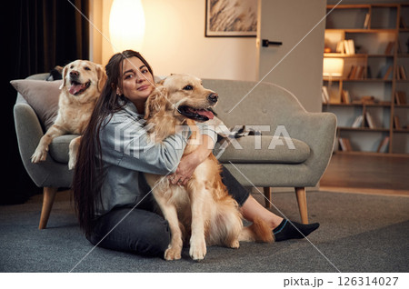 Cozy atmosphere. Having fun. Woman is sitting on the floor and playing with two golden retriever dogs at home Cozy atmosphere. Having fun. Woman is sitting on the floor and playing with two golden retriever dogs at home 126314027