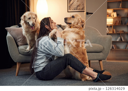Embracing and having fun. Woman is with two golden retriever dogs at home 126314029