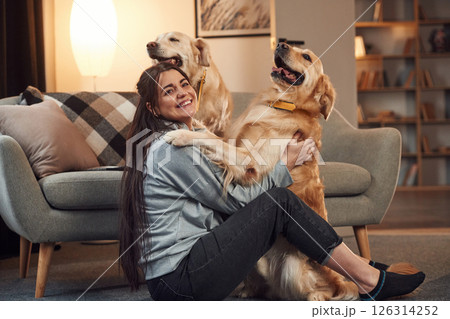Playing together. Woman is with two golden retriever dogs at home Playing together. Woman is with two golden retriever dogs at home 126314252