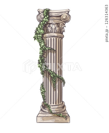 Antique column with ivy sketch 126314363